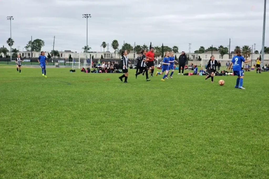 Campbell Road Sports Park: A Complete Guide for Visitors and Athletes
