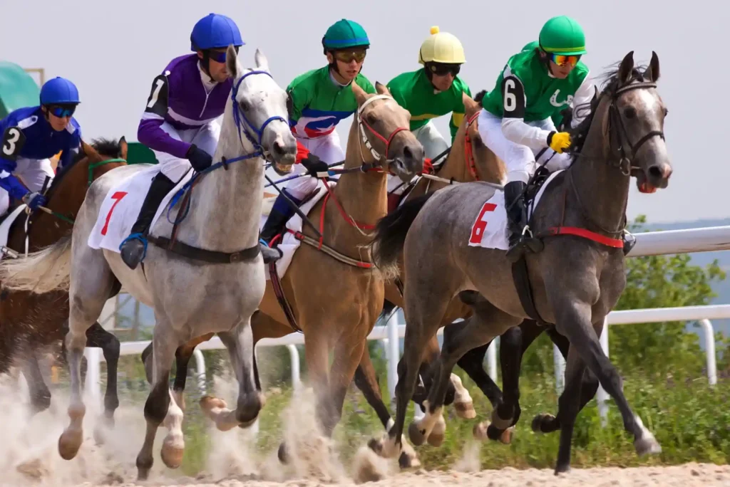 How to Win Real Money in Horse Racing Betting