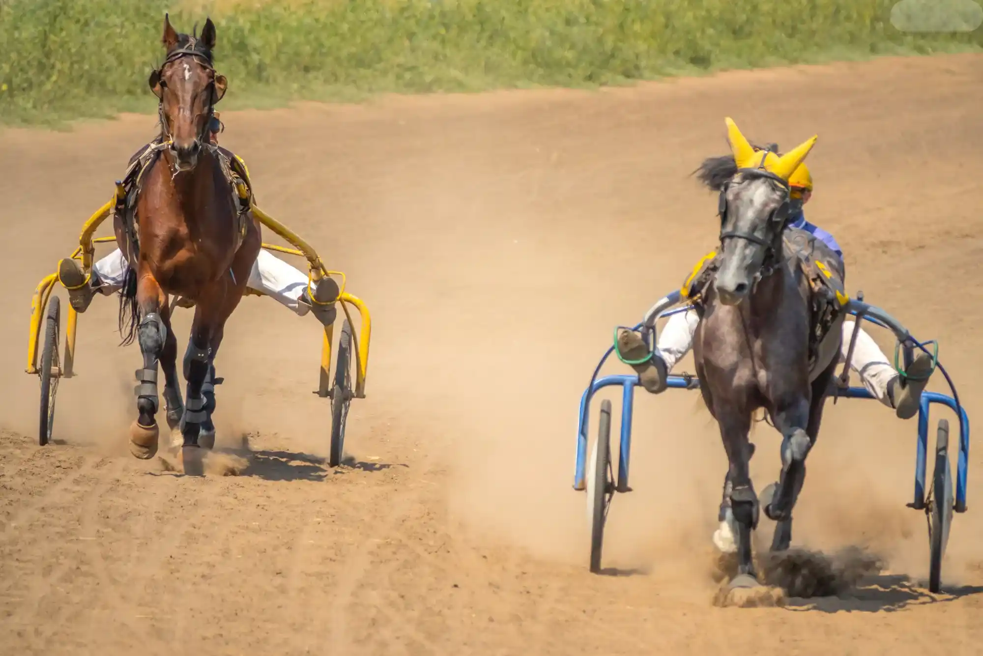 Mastering Horse Racing Betting: Strategies and Confidence